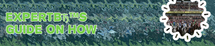 Grand national betting parimatch
