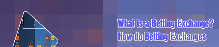 How do betting exchanges work