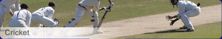 Cricket
